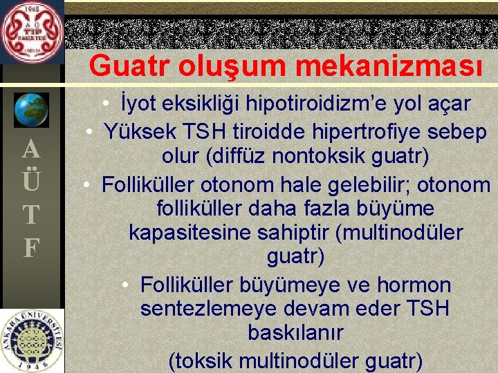 Guatr oluşum mekanizması A Ü T F • İyot eksikliği hipotiroidizm’e yol açar •