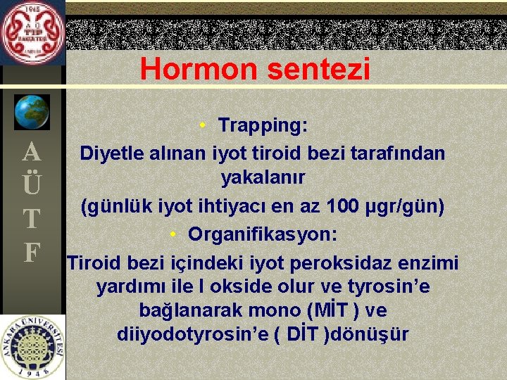 Hormon sentezi A Ü T F • Trapping: Diyetle alınan iyot tiroid bezi tarafından