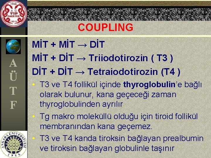 COUPLING A Ü T F MİT + MİT → DİT MİT + DİT →