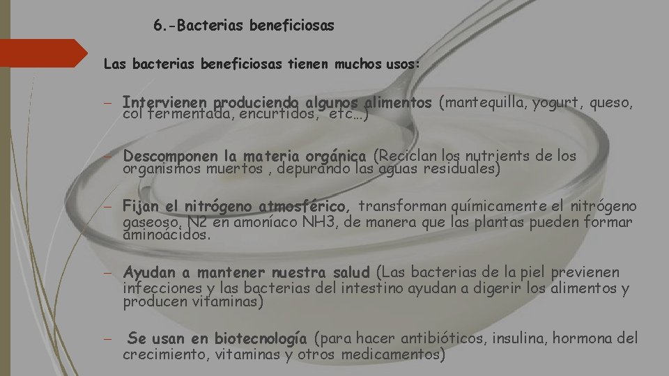 6. -Bacterias beneficiosas Las bacterias beneficiosas tienen muchos usos: – Intervienen produciendo algunos alimentos
