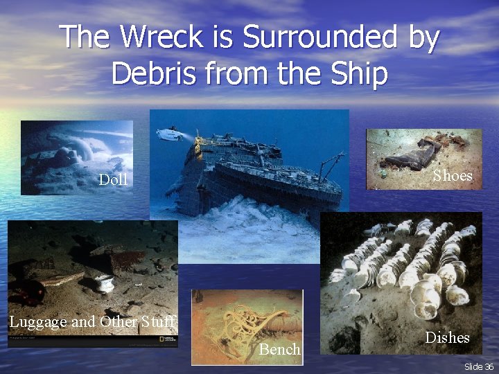 The Wreck is Surrounded by Debris from the Ship Shoes Doll Luggage and Other