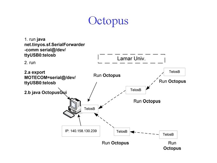 Octopus 