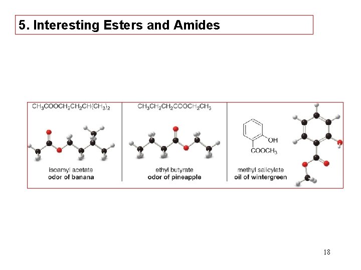 5. Interesting Esters and Amides 18 