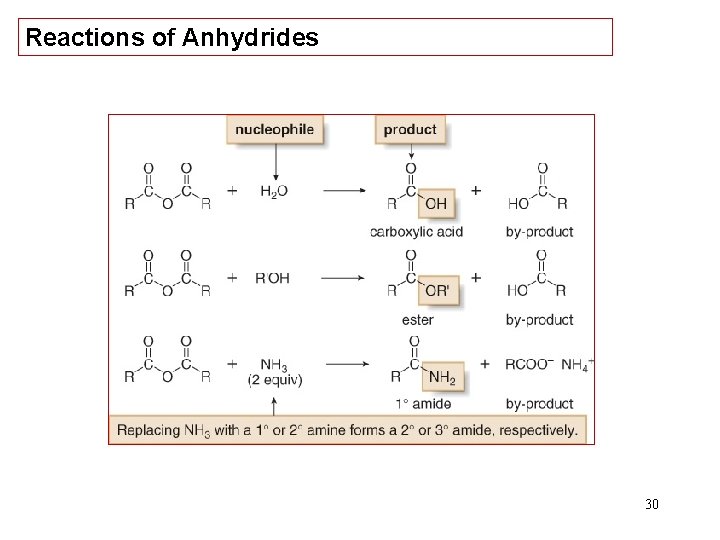 Reactions of Anhydrides 30 
