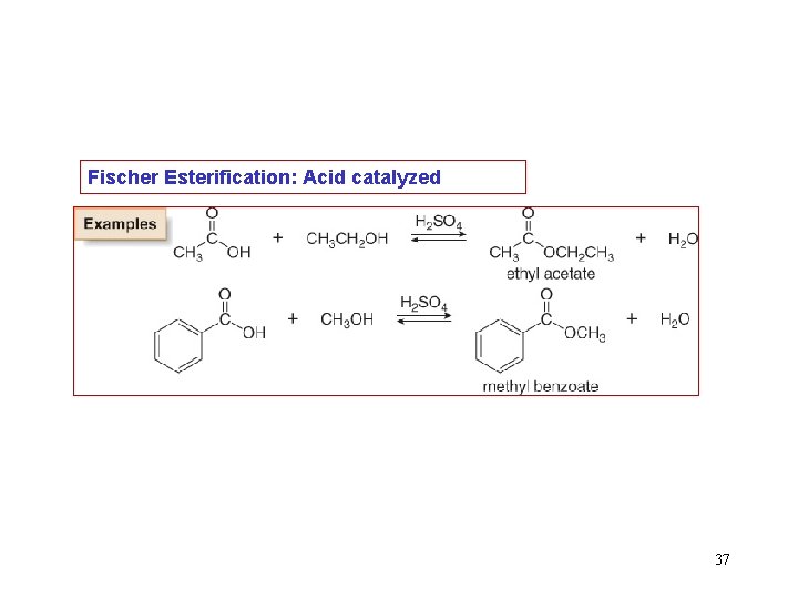 Fischer Esterification: Acid catalyzed 37 