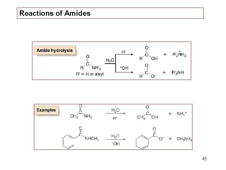 Reactions of Amides 45 