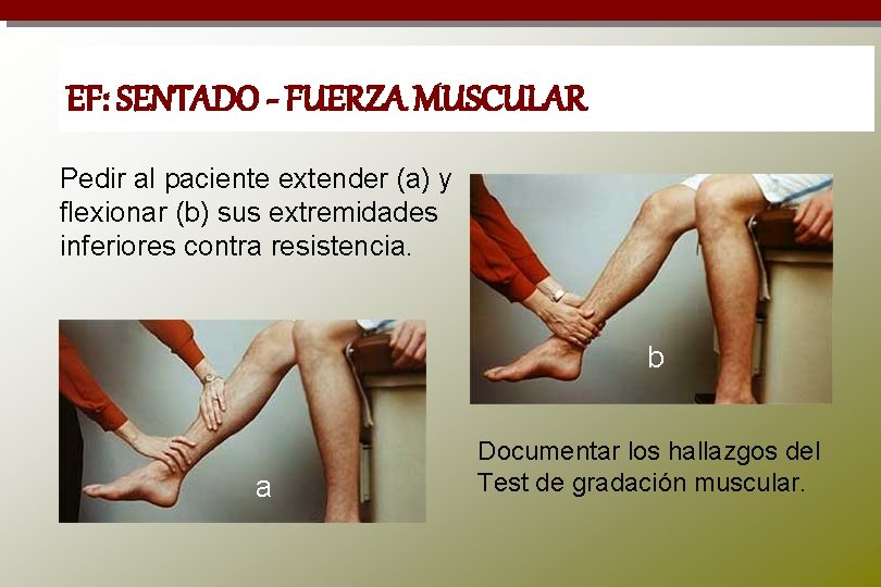 EF: SENTADO - FUERZA MUSCULAR Pedir al paciente extender (a) y flexionar (b) sus
