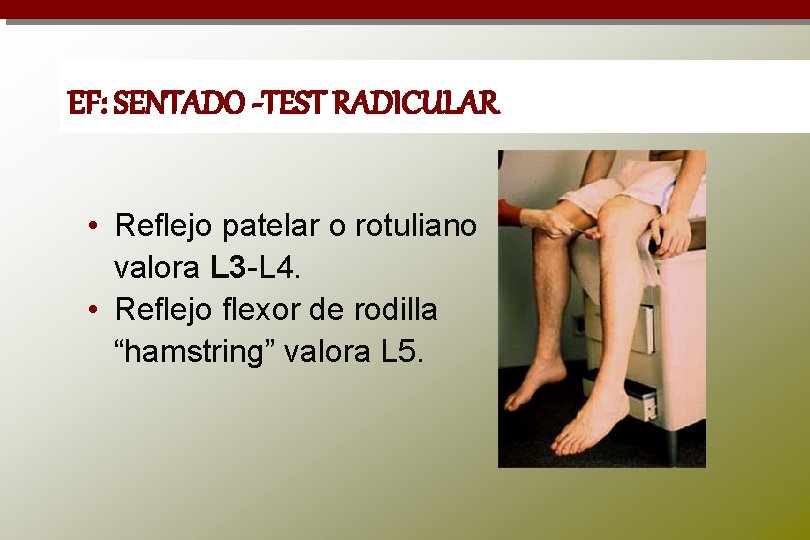 EF: SENTADO -TEST RADICULAR • Reflejo patelar o rotuliano valora L 3 -L 4.