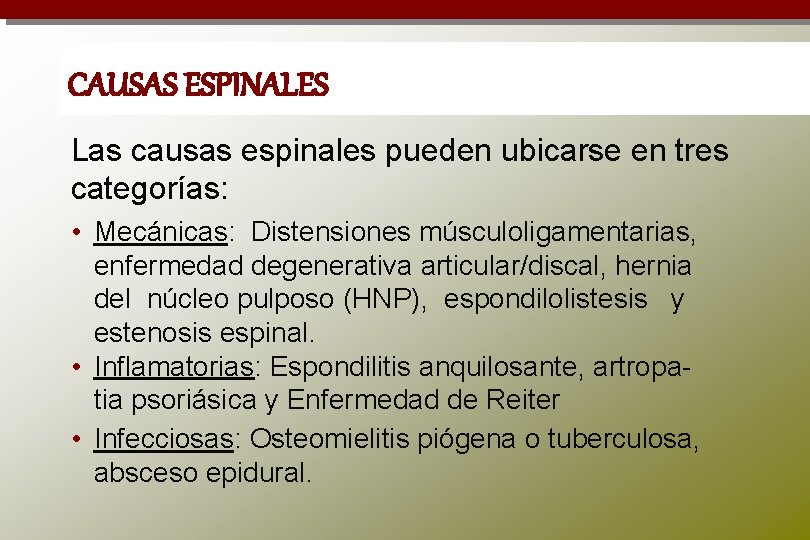 CAUSAS ESPINALES Las causas espinales pueden ubicarse en tres categorías: • Mecánicas: Distensiones músculoligamentarias,