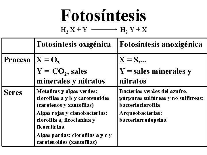 Fotosíntesis H 2 X + Y Fotosíntesis oxigénica Proceso X = O 2 Y