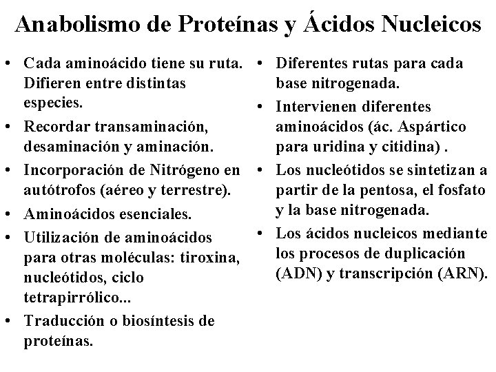 Anabolismo de Proteínas y Ácidos Nucleicos • Cada aminoácido tiene su ruta. Difieren entre