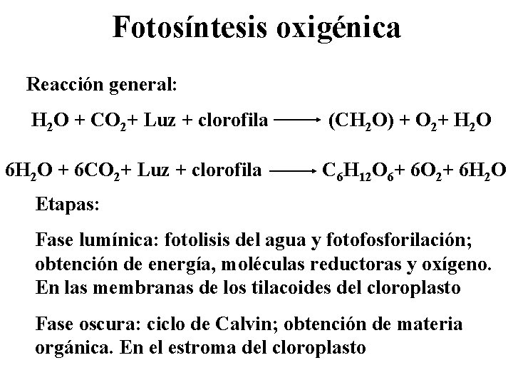 Fotosíntesis oxigénica Reacción general: H 2 O + CO 2+ Luz + clorofila 6