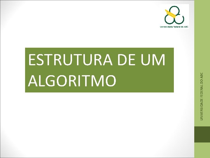 UNIVERSIDADE FEDERAL DO ABC ESTRUTURA DE UM ALGORITMO 