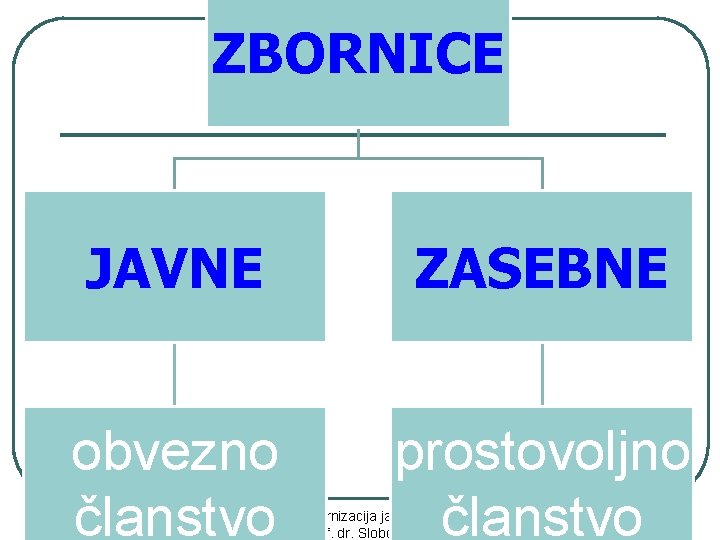 ZBORNICE JAVNE ZASEBNE obvezno članstvo prostovoljno članstvo 39 Modernizacija javne uprave, Prof. dr. Slobodan