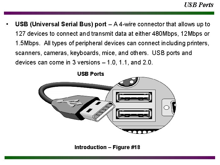 USB Ports • USB (Universal Serial Bus) port – A 4 -wire connector that