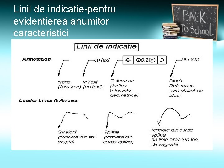 Linii de indicatie-pentru evidentierea anumitor caracteristici 