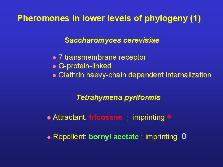 Pheromones in lower levels of phylogeny (1) Saccharomyces cerevisiae 7 transmembrane receptor l G-protein-linked