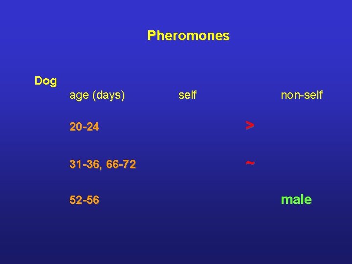 Pheromones Dog age (days) self non-self 20 -24 > 31 -36, 66 -72 ~
