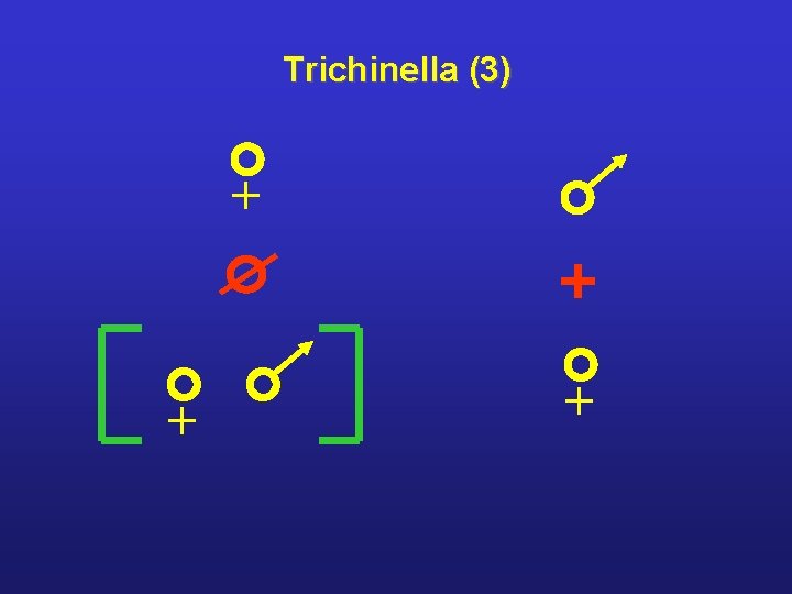 Trichinella (3) + + + 