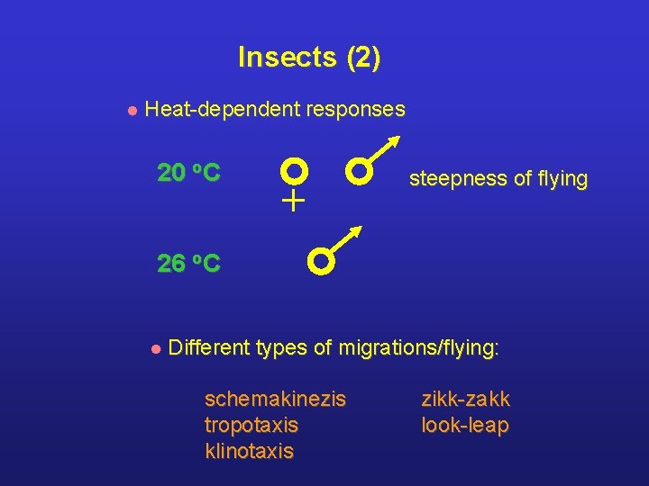 Insects (2) l Heat-dependent responses 20 o. C + steepness of flying 26 o.