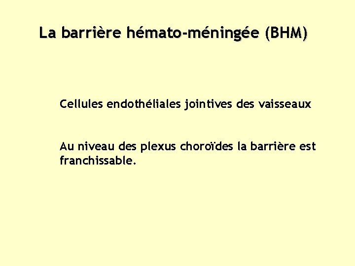 La barrière hémato-méningée (BHM) Cellules endothéliales jointives des vaisseaux Au niveau des plexus choroïdes