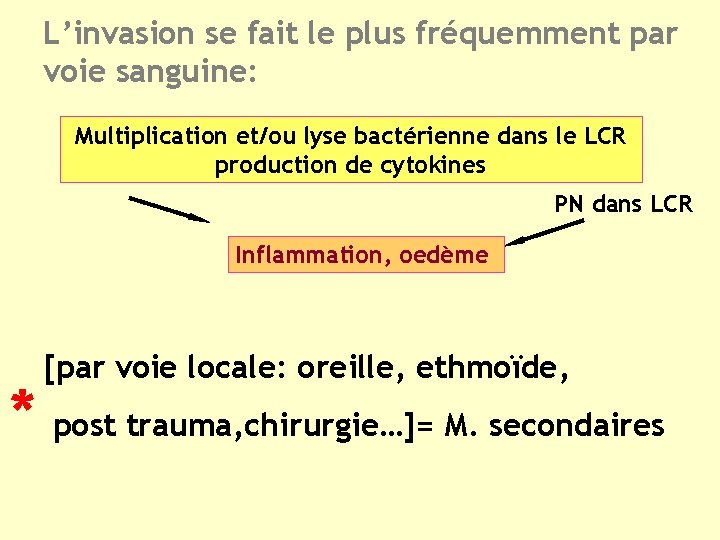 L’invasion se fait le plus fréquemment par voie sanguine: Multiplication et/ou lyse bactérienne dans