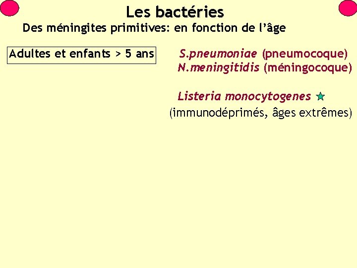 Les bactéries Des méningites primitives: en fonction de l’âge Adultes et enfants > 5