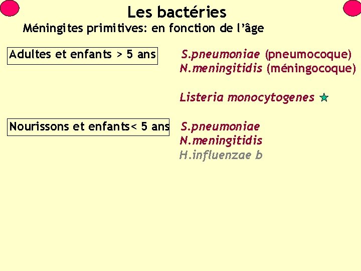 Les bactéries Méningites primitives: en fonction de l’âge Adultes et enfants > 5 ans