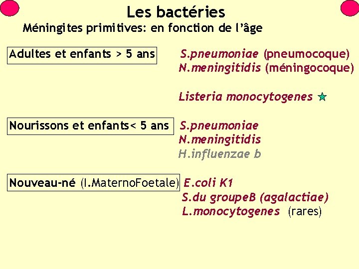 Les bactéries Méningites primitives: en fonction de l’âge Adultes et enfants > 5 ans