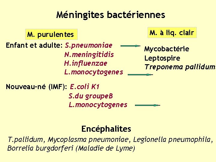 Méningites bactériennes M. à liq. clair M. purulentes Enfant et adulte: S. pneumoniae N.