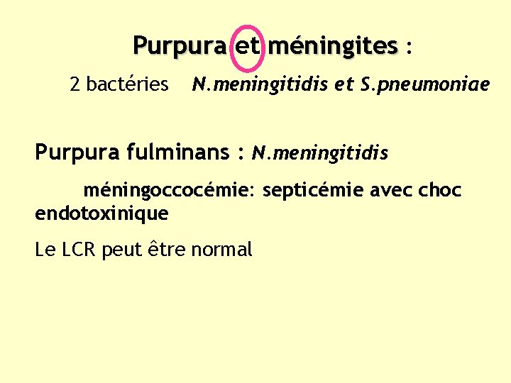 Purpura et méningites : 2 bactéries N. meningitidis et S. pneumoniae Purpura fulminans :