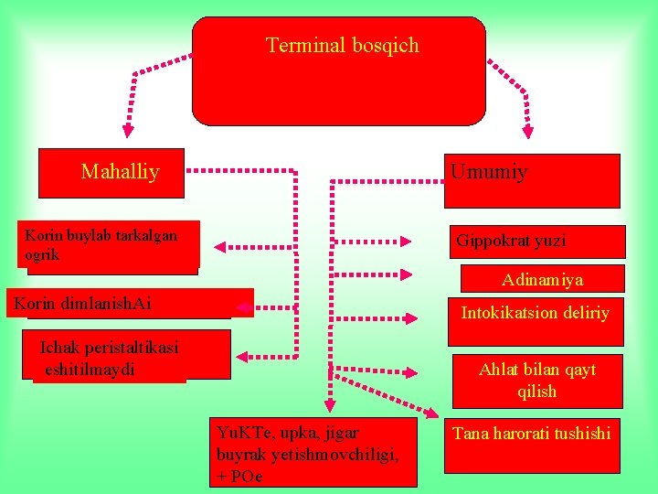 Terminal bosqich Mahalliy Umumiy Korin buylab tarkalgan ogrik Gippokrat yuzi Adinamiya Korin dimlanish. Ai