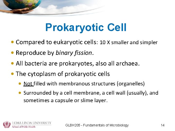 Prokaryotic Cell • Compared to eukaryotic cells: 10 X smaller and simpler • Reproduce