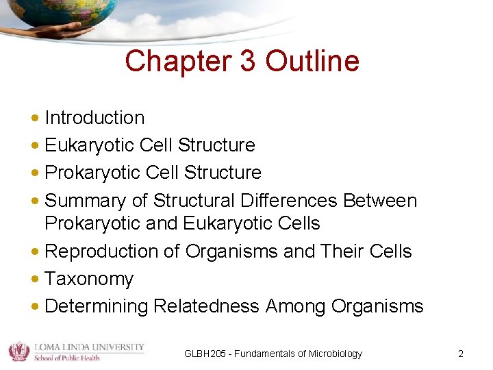 Chapter 3 Outline • Introduction • Eukaryotic Cell Structure • Prokaryotic Cell Structure •