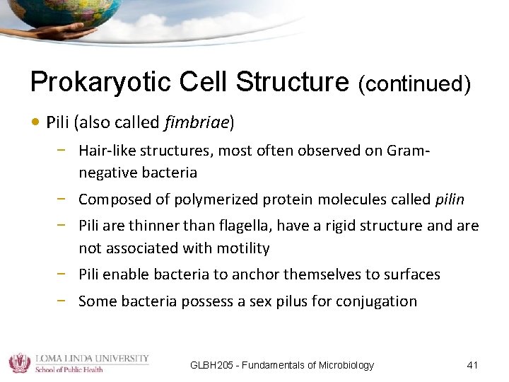 Prokaryotic Cell Structure (continued) • Pili (also called fimbriae) – Hair-like structures, most often