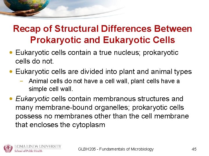 Recap of Structural Differences Between Prokaryotic and Eukaryotic Cells • Eukaryotic cells contain a