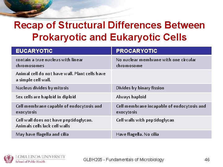 Recap of Structural Differences Between Prokaryotic and Eukaryotic Cells EUCARYOTIC PROCARYOTIC contain a true