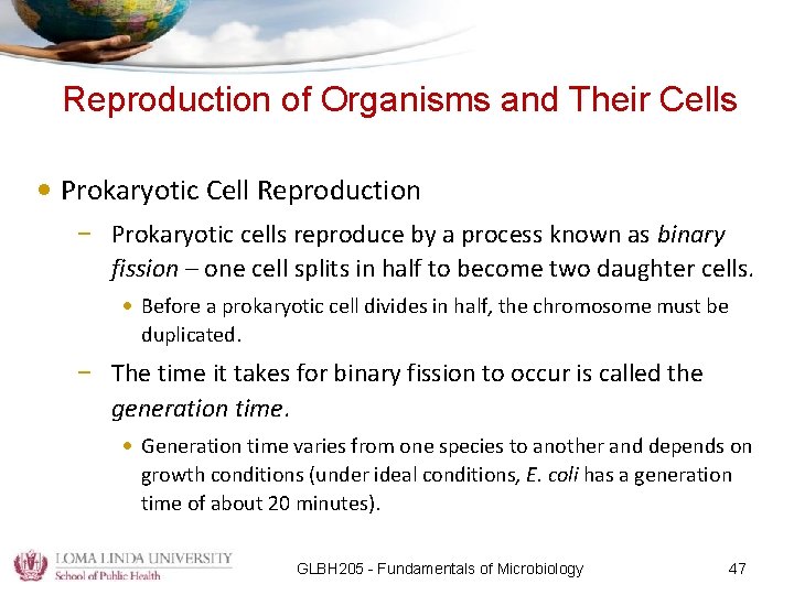 Reproduction of Organisms and Their Cells • Prokaryotic Cell Reproduction – Prokaryotic cells reproduce
