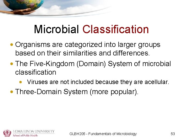 Microbial Classification • Organisms are categorized into larger groups based on their similarities and