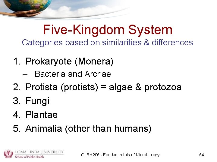 Five-Kingdom System Categories based on similarities & differences 1. Prokaryote (Monera) – Bacteria and