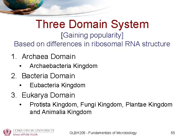 Three Domain System [Gaining popularity] Based on differences in ribosomal RNA structure 1. Archaea