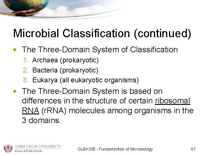 Microbial Classification (continued) • The Three-Domain System of Classification 1. Archaea (prokaryotic) 2. Bacteria
