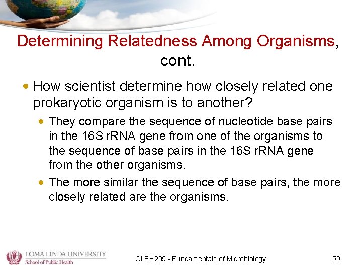 Determining Relatedness Among Organisms, cont. • How scientist determine how closely related one prokaryotic