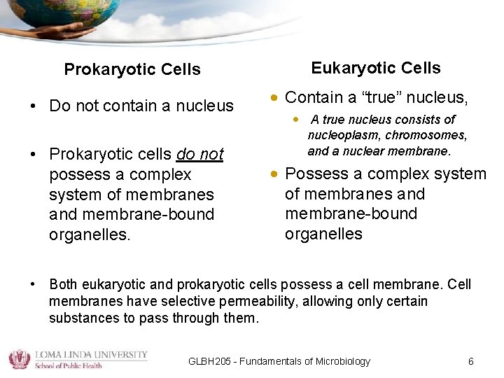 Prokaryotic Cells • Do not contain a nucleus • Prokaryotic cells do not possess