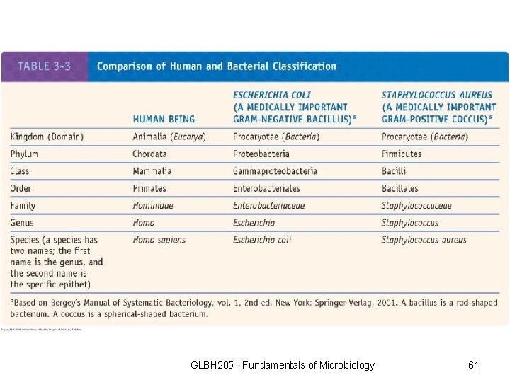 GLBH 205 - Fundamentals of Microbiology 61 