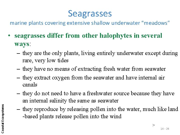 Seagrasses marine plants covering extensive shallow underwater “meadows” Coastal Ecosystems • seagrasses differ from