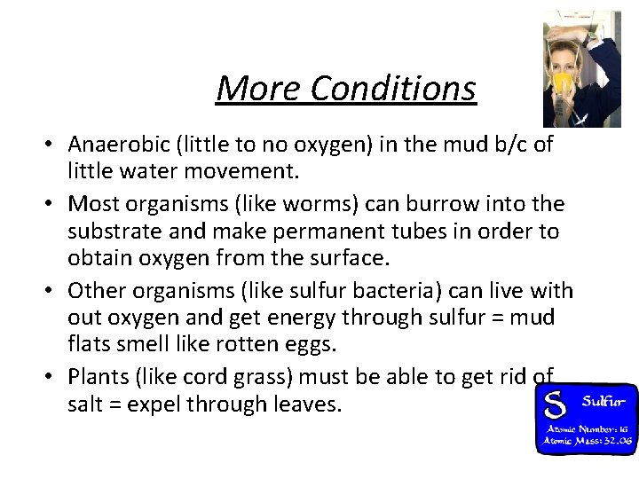 More Conditions • Anaerobic (little to no oxygen) in the mud b/c of little