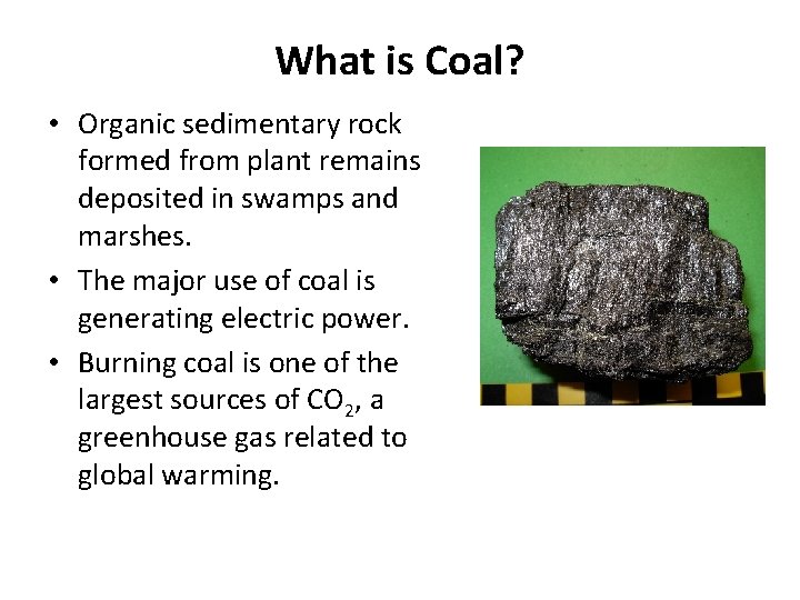 What is Coal? • Organic sedimentary rock formed from plant remains deposited in swamps