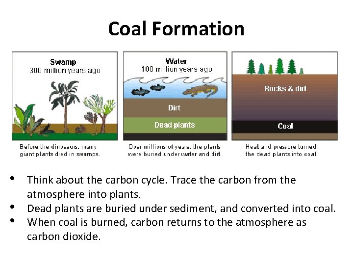 Coal Formation • • • Think about the carbon cycle. Trace the carbon from Coal Formation • • • Think about the carbon cycle. Trace the carbon from