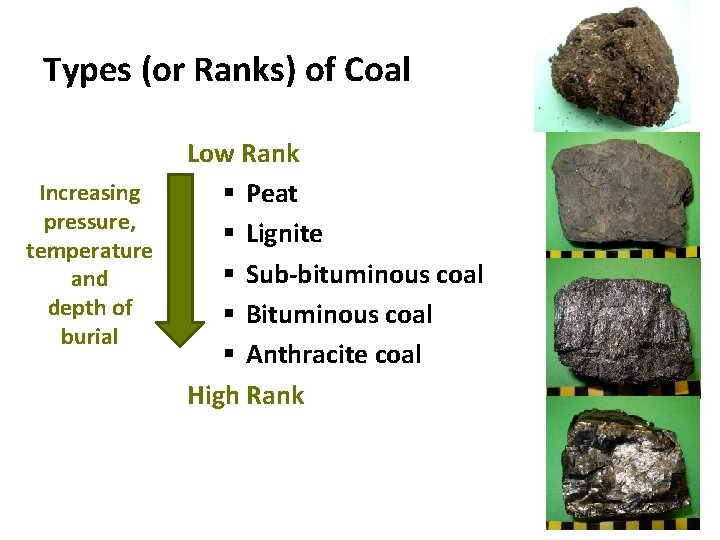 Types (or Ranks) of Coal Increasing pressure, temperature and depth of burial Low Rank